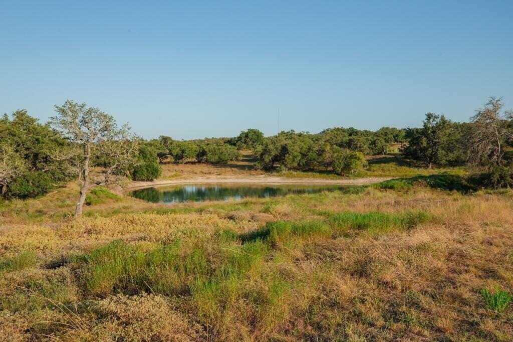 27.2 acres in Gillespie County - photo 8