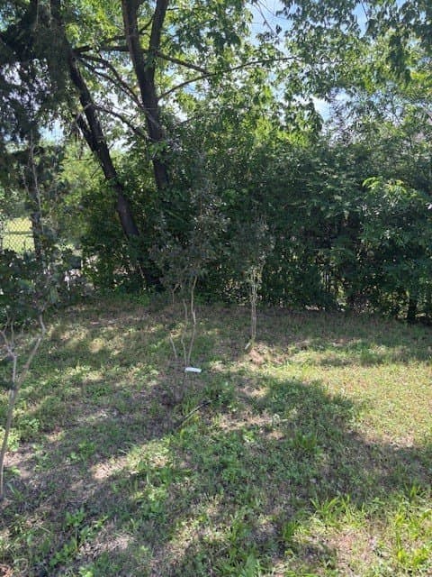 1 acres in Dallas County - photo 12