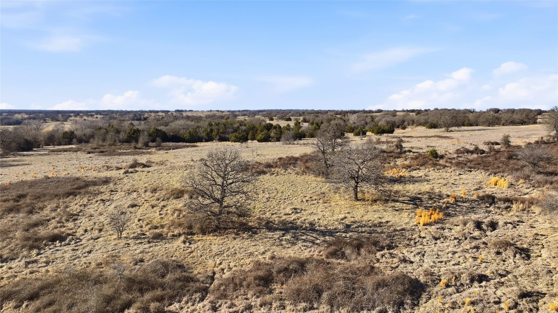 283.53 acres in Montague County gallery image 3