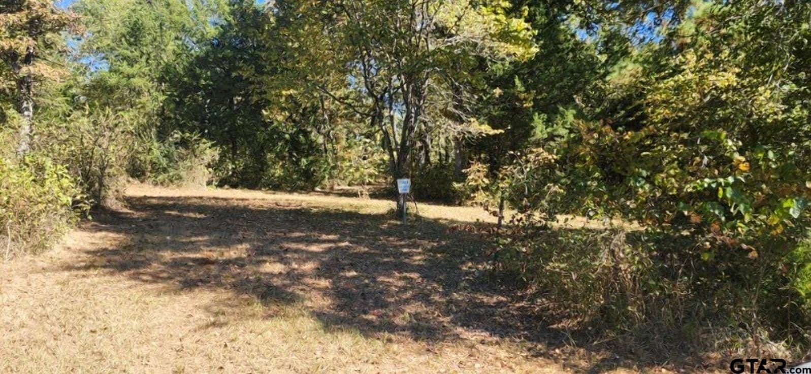 14.9 acres in Smith County - photo 8