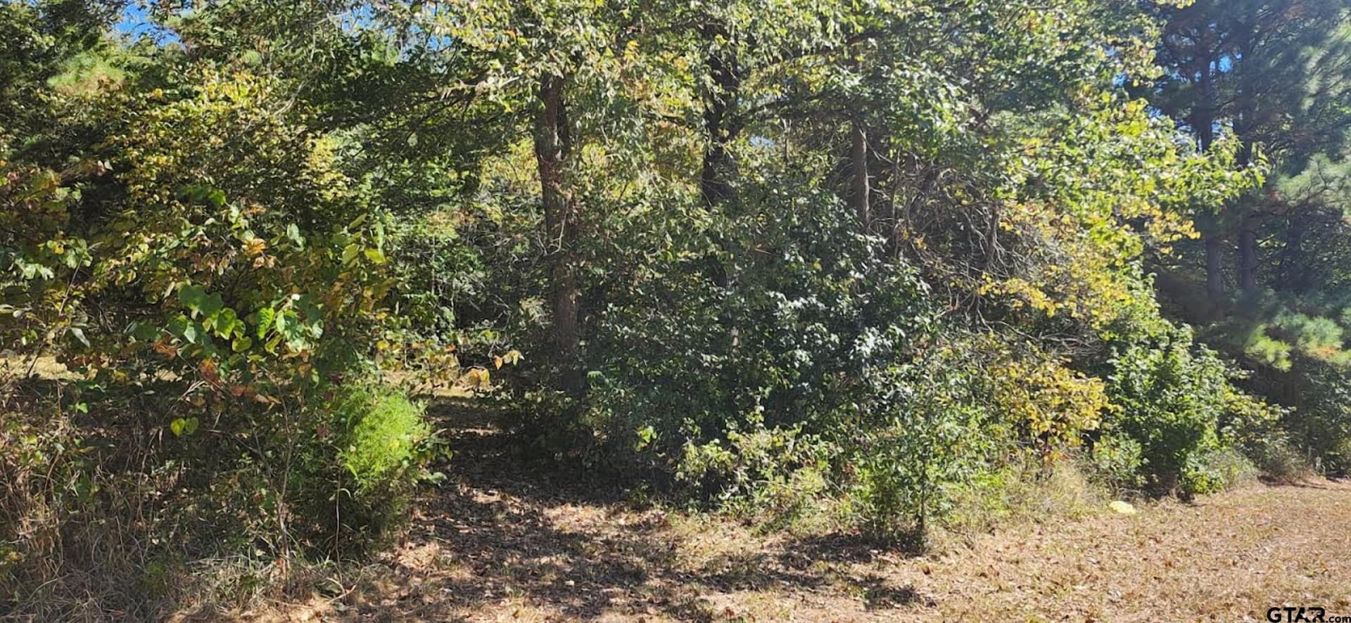 14.9 acres in Smith County - photo 12