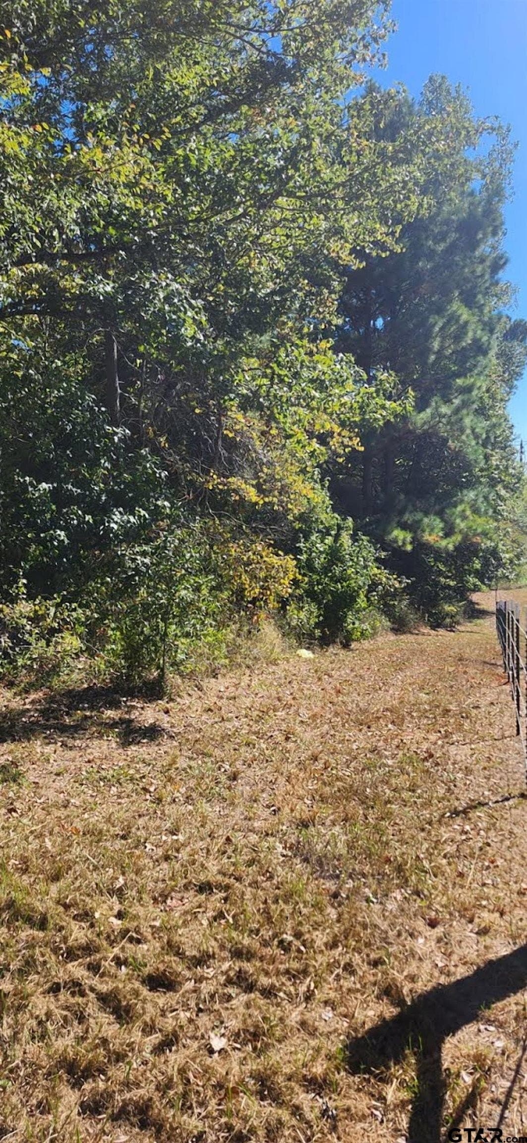 14.9 acres in Smith County - photo 11