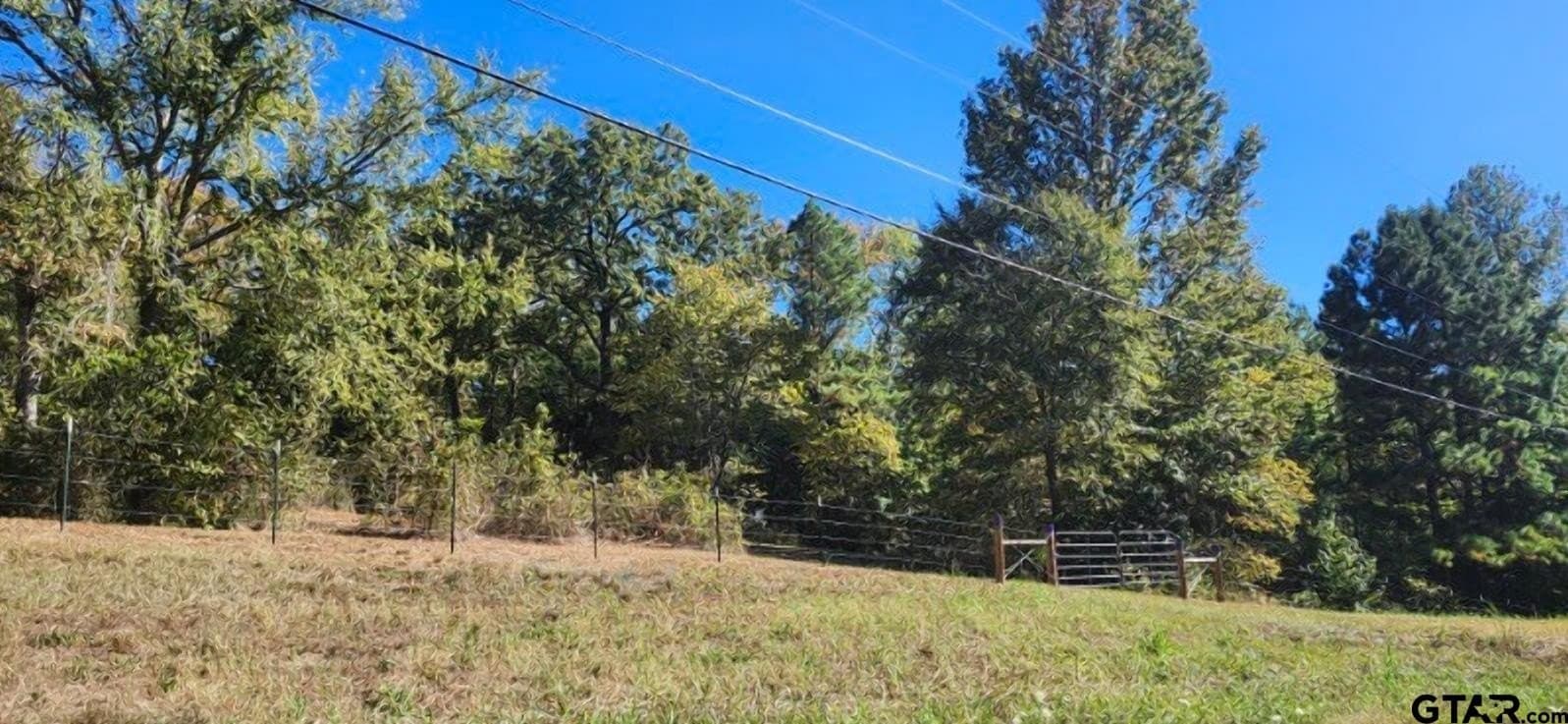 14.9 acres in Smith County - photo 10