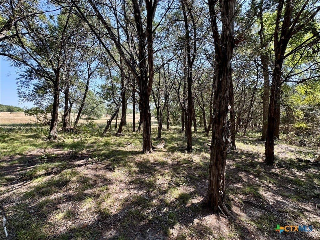 65.07 acres in Burnet County - photo 31