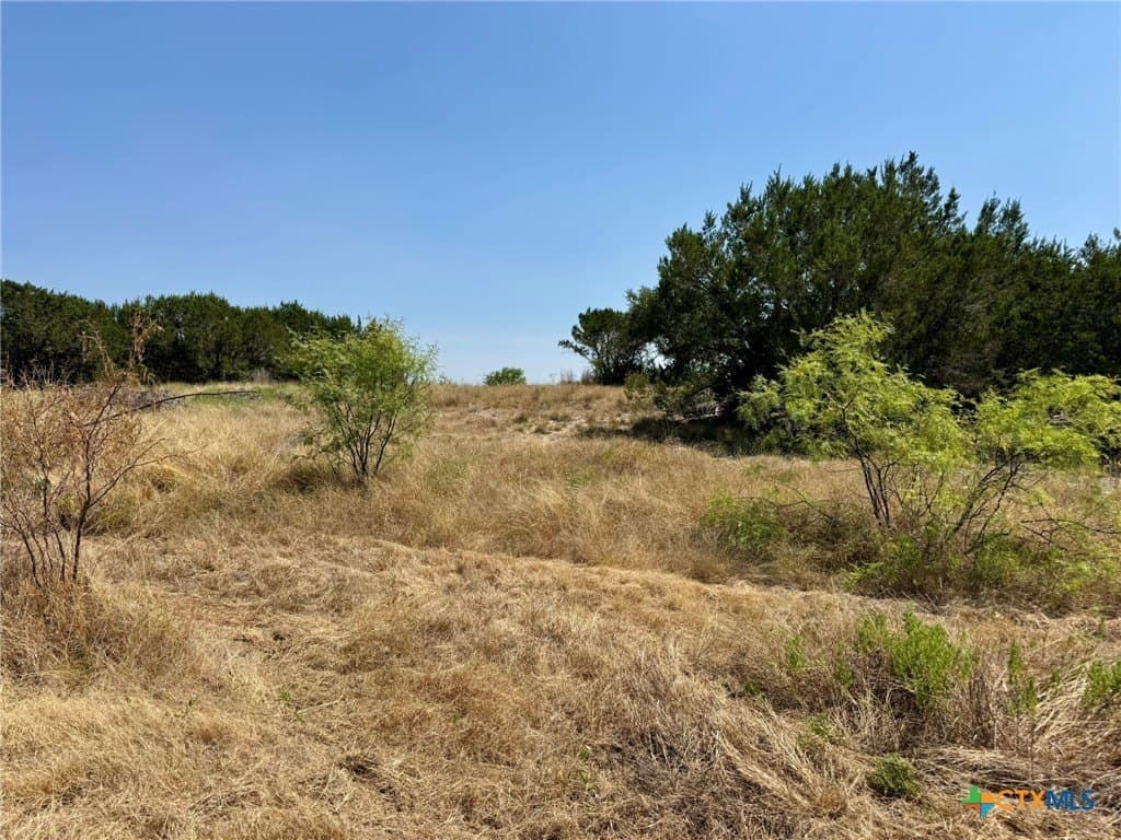 65.07 acres in Burnet County - photo 28