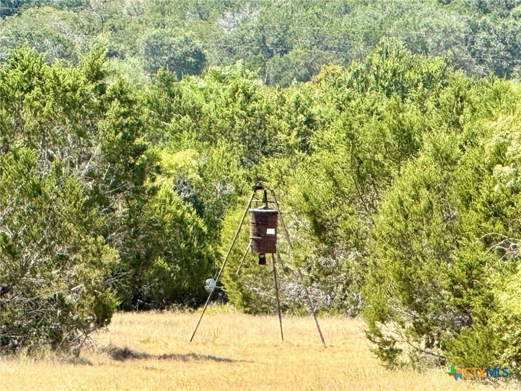 65.07 acres in Burnet County - photo 4