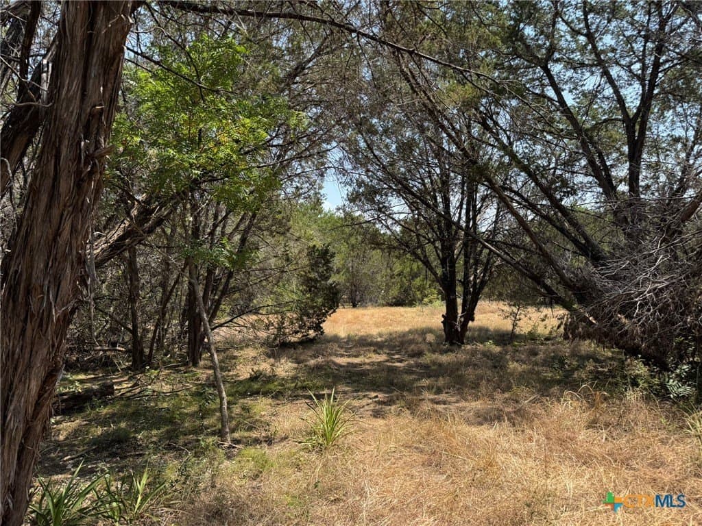 65.07 acres in Burnet County - photo 8