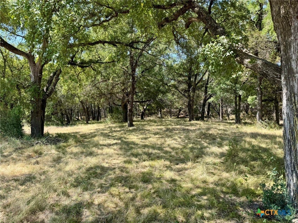 65.07 acres in Burnet County - photo 7