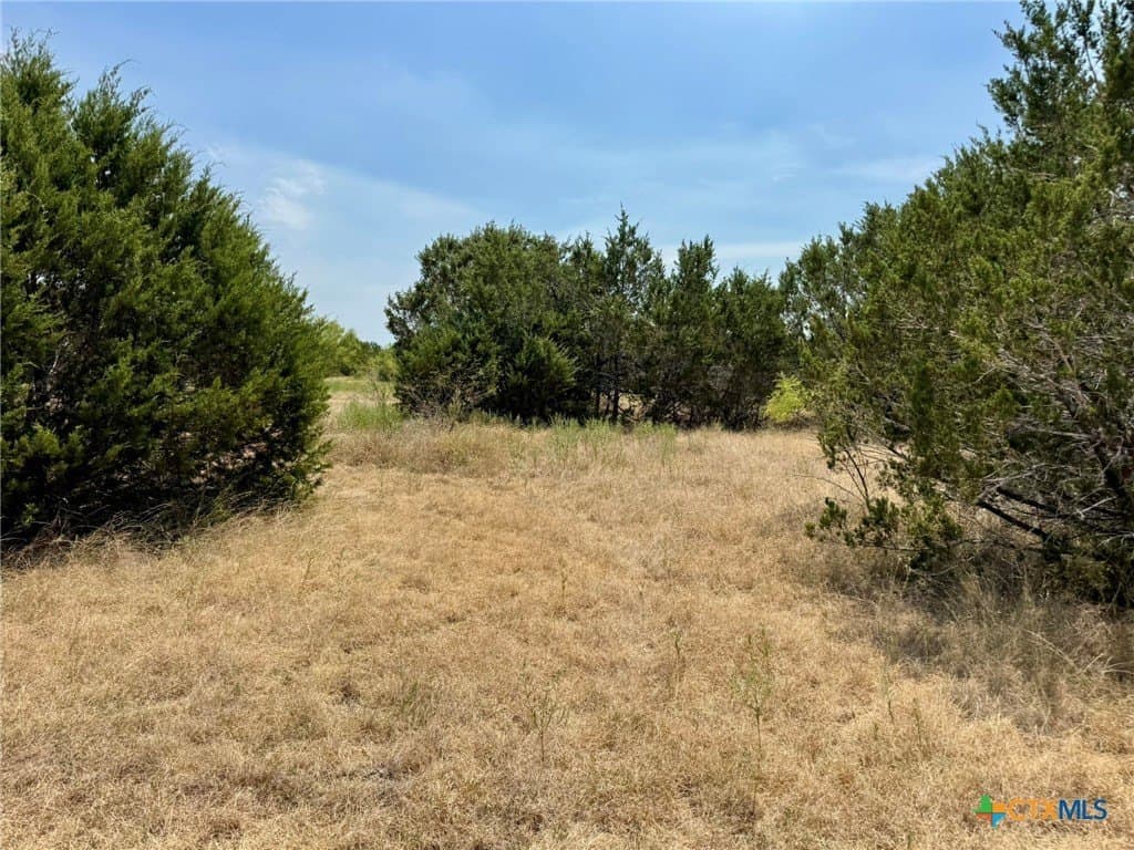 65.07 acres in Burnet County - photo 13