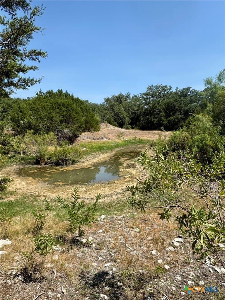 65.07 acres in Burnet County - photo 10