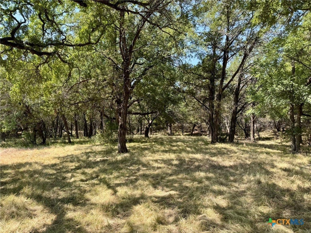 65.07 acres in Burnet County - photo 30