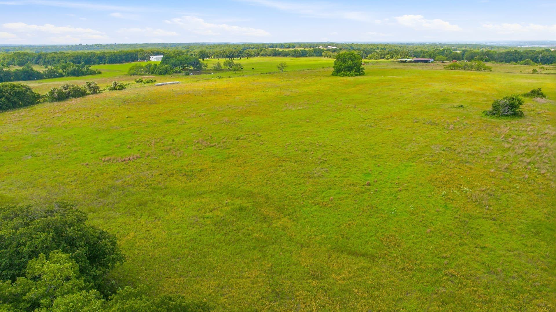 39.8 acres in Hill County - photo 5