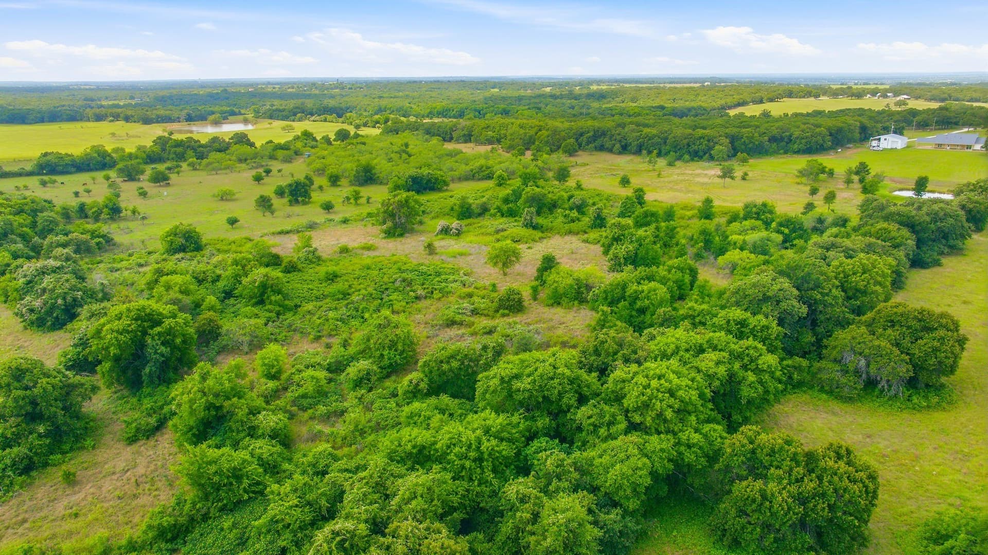 39.8 acres in Hill County - photo 4