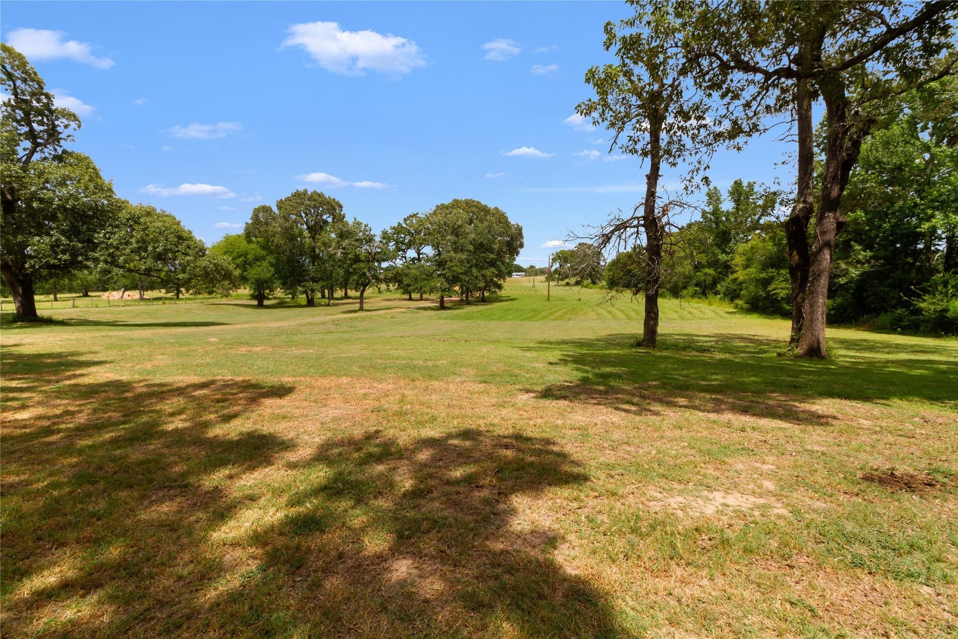 10.5 acres in Leon County - photo 23