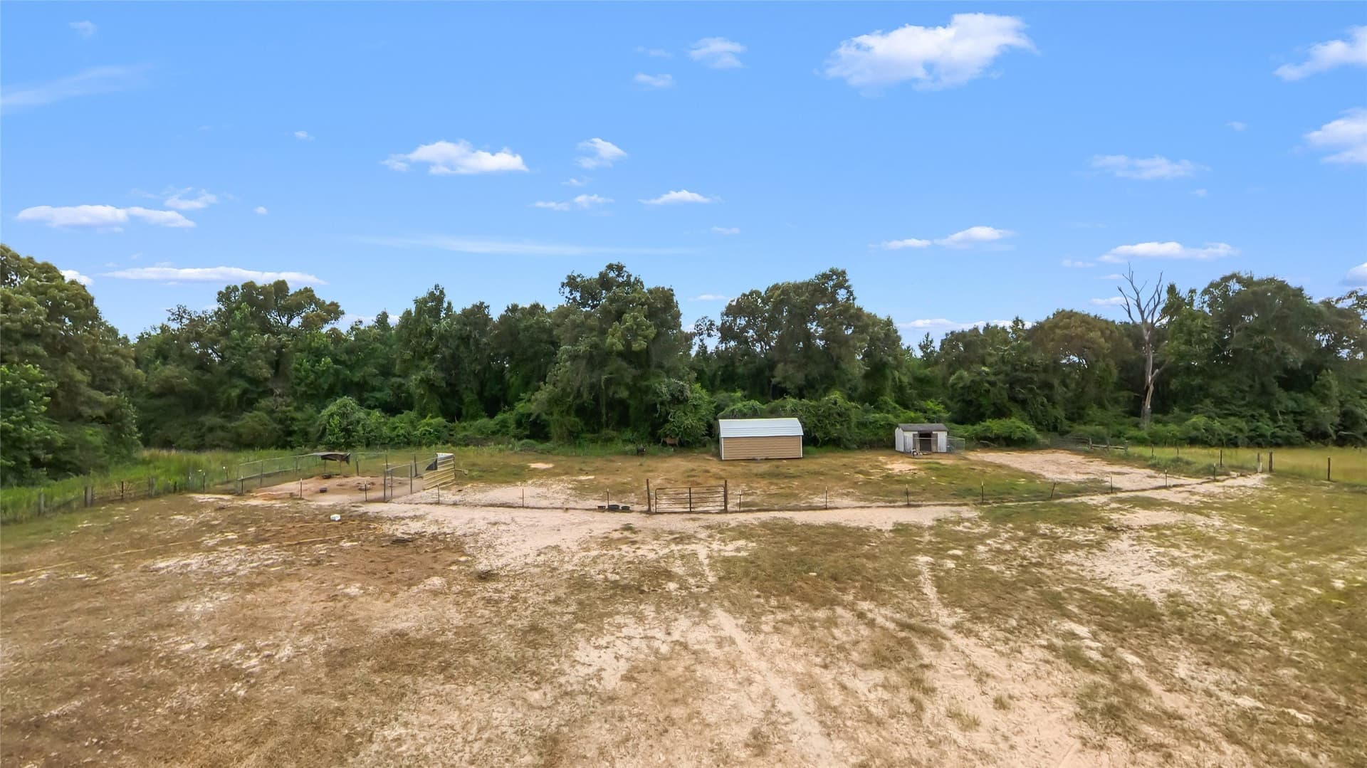 10.5 acres in Leon County - photo 29