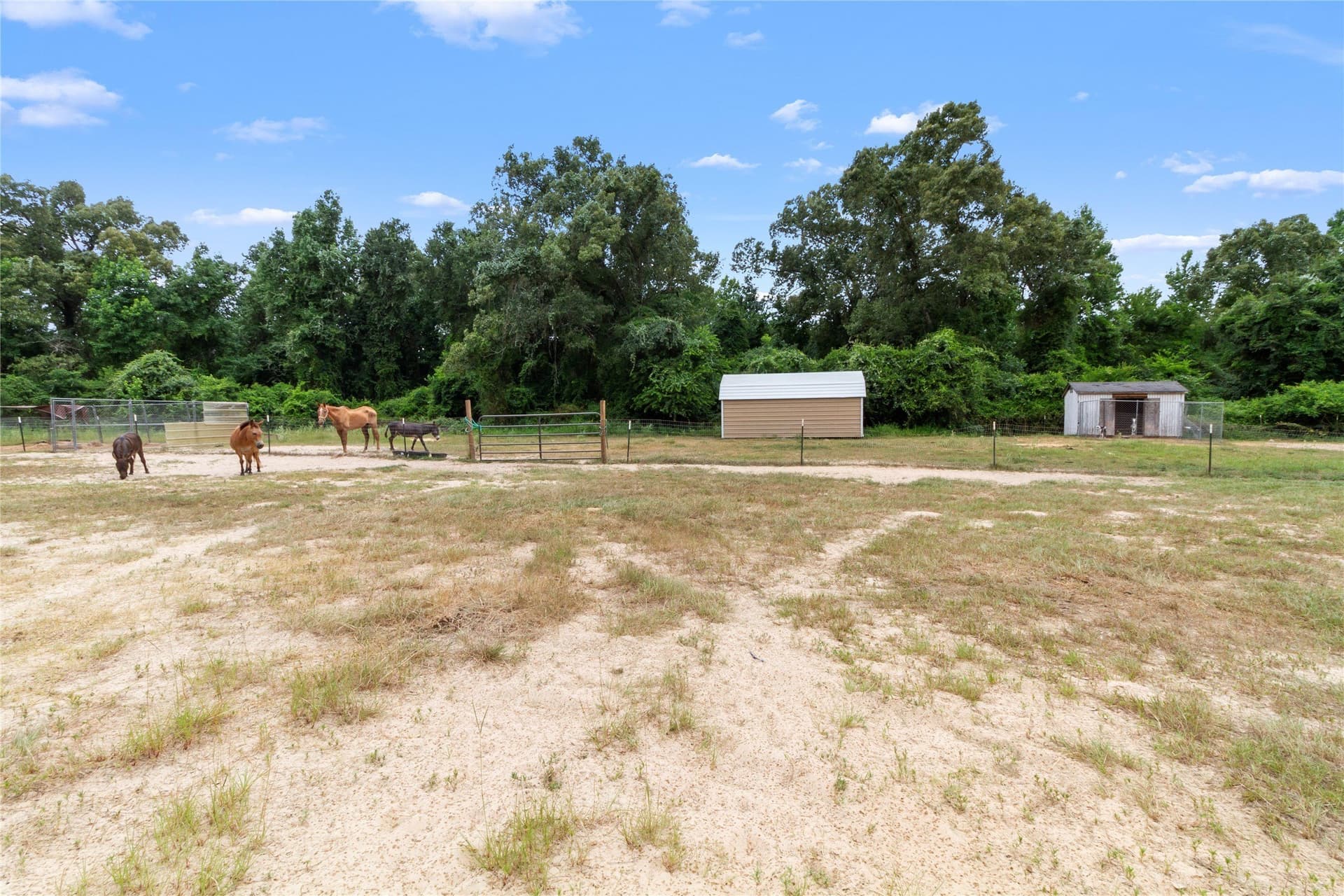 10.5 acres in Leon County - photo 30
