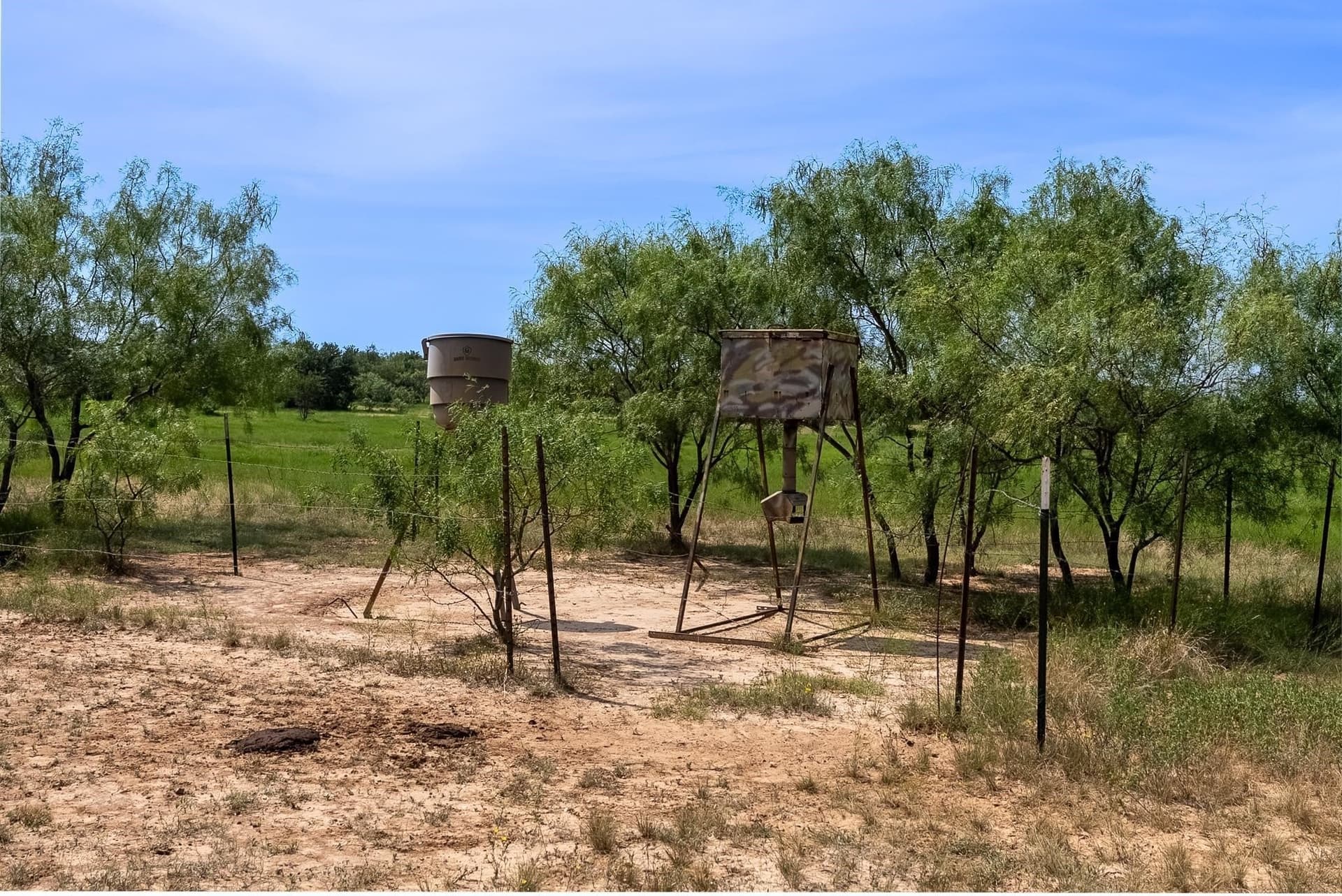 230 acres in Comanche County - photo 23
