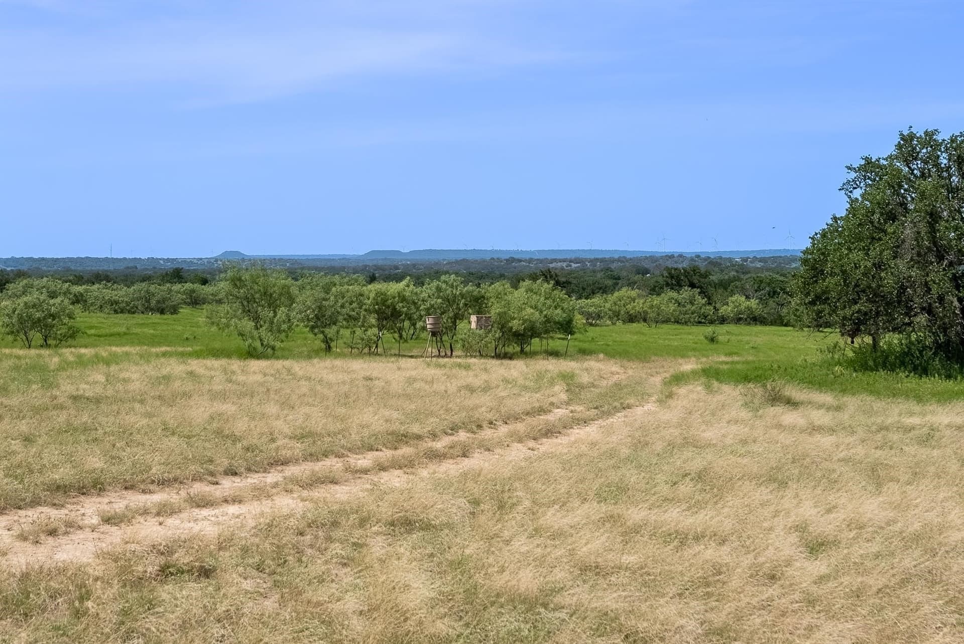 230 acres in Comanche County - photo 24