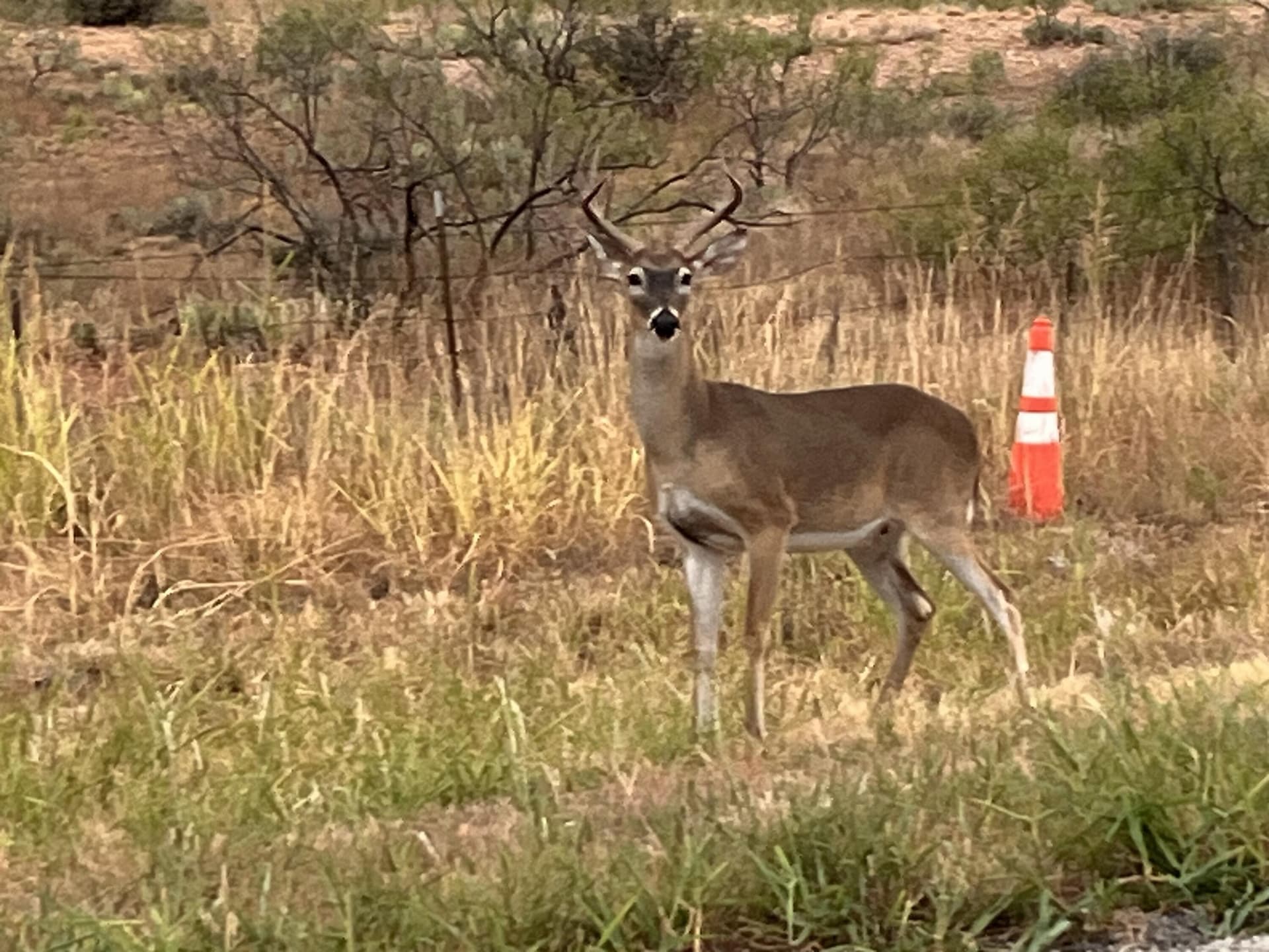 0.33 acres in Crosby County - photo 4