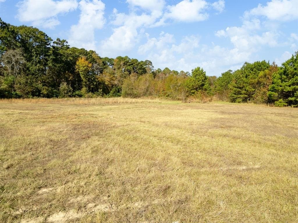 11.6 acres in Upshur County gallery image 2