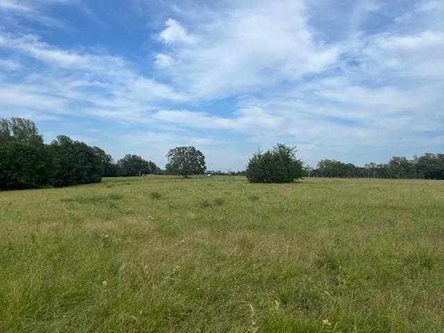 12 acres in Lamar County gallery image 4