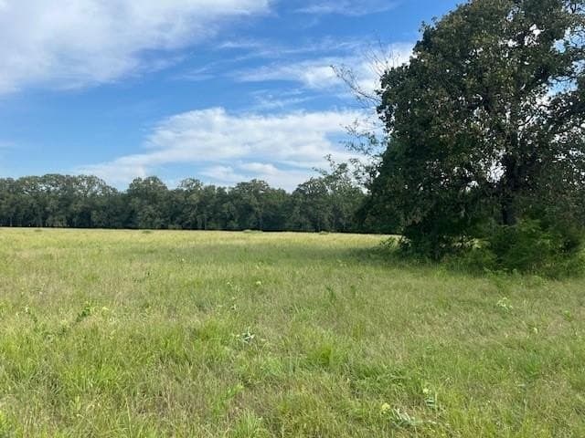 12 acres in Lamar County featured view