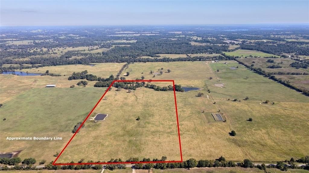 30 acres in Henderson County gallery image 4