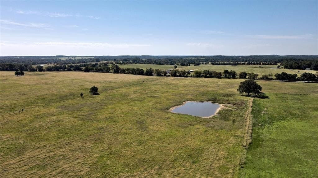 30 acres in Henderson County gallery image 3