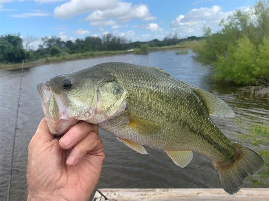 92.75 acres in Hamilton County gallery image 3