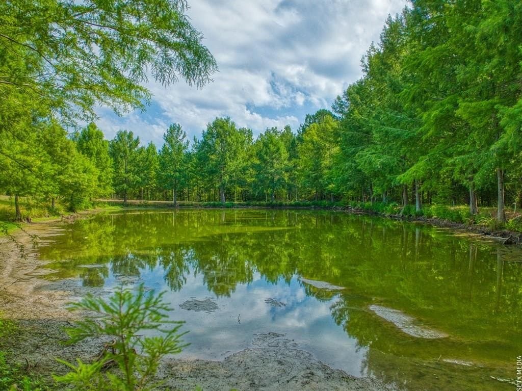 14.81 acres in Texas County