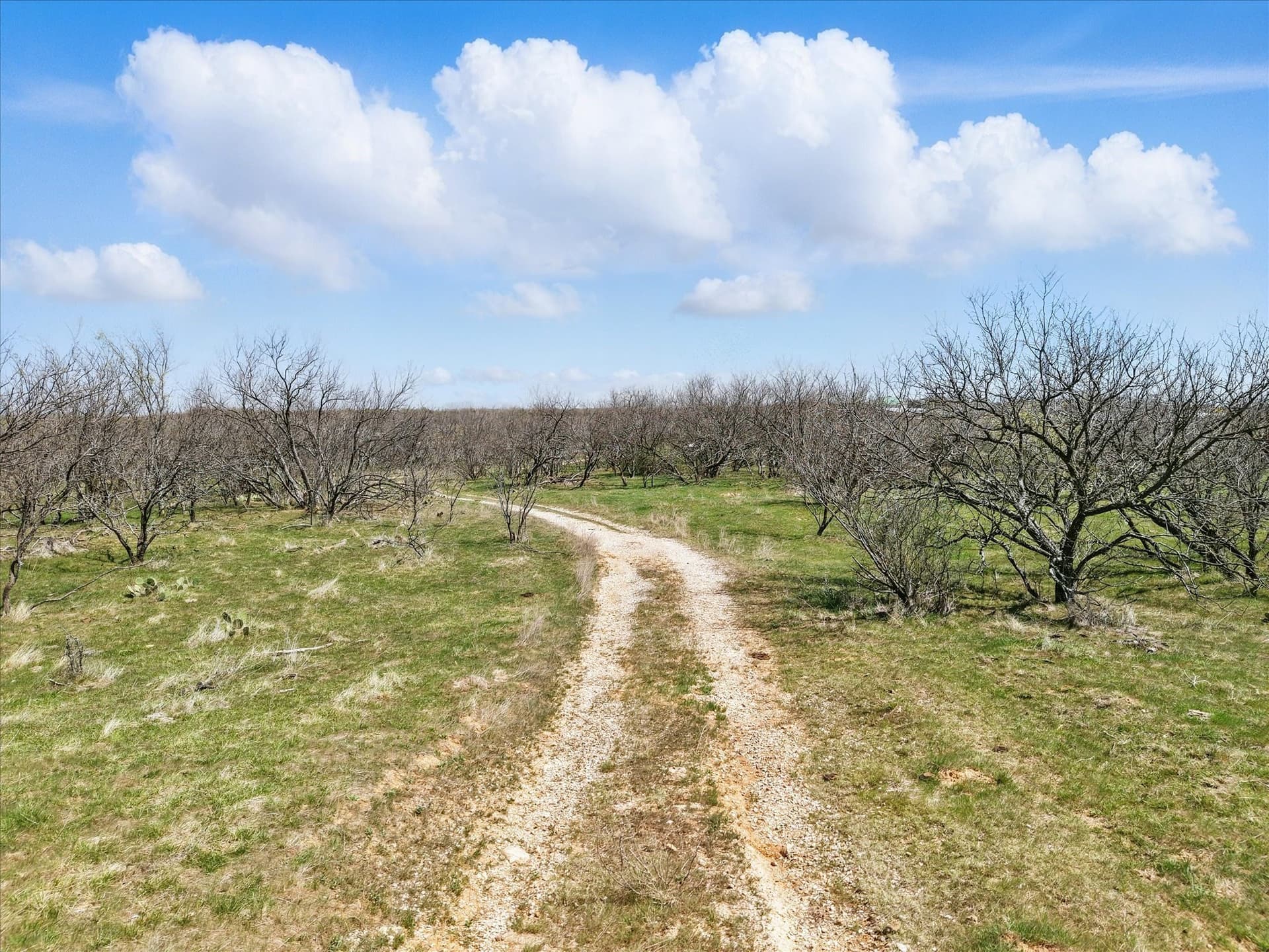 6.3 acres in Jack County - photo 16