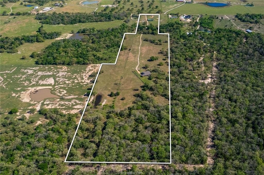 30 acres in Burleson County gallery image 2