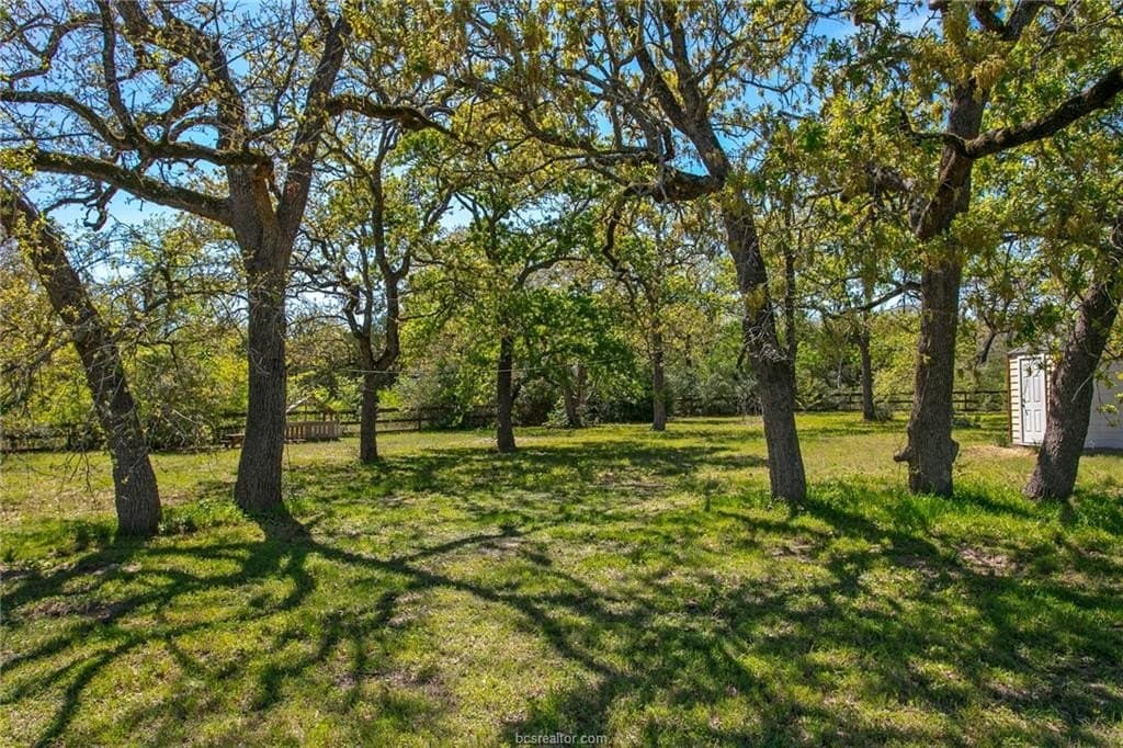 23.5 acres in Burleson County - photo 36