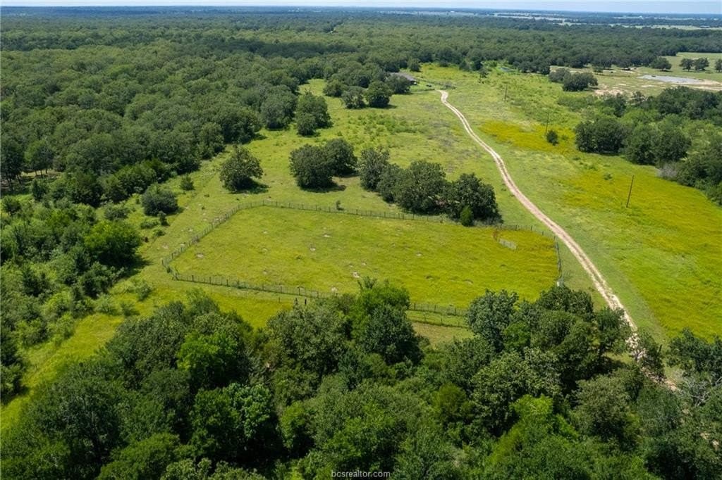 23.5 acres in Burleson County - photo 15