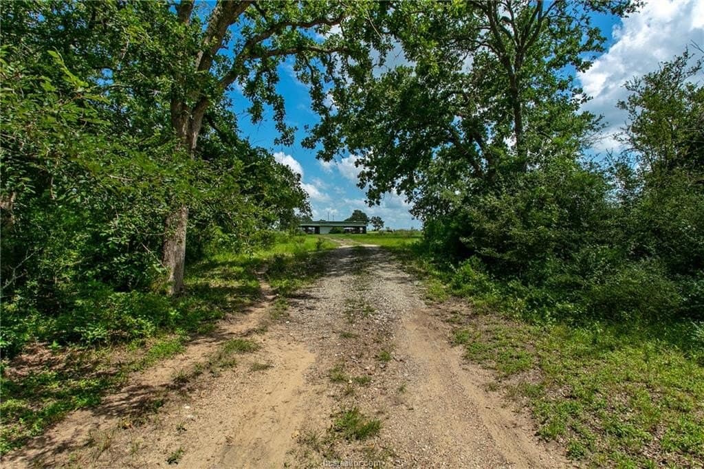 23.5 acres in Burleson County - photo 14