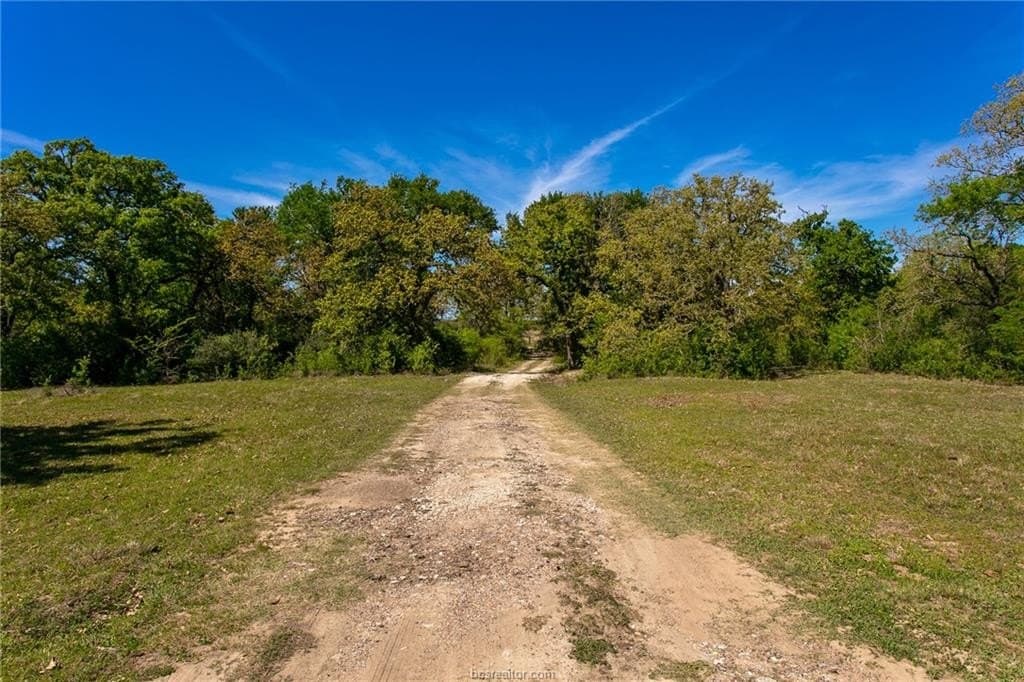 23.5 acres in Burleson County - photo 12