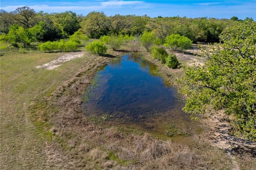 23.5 acres in Burleson County - photo 38