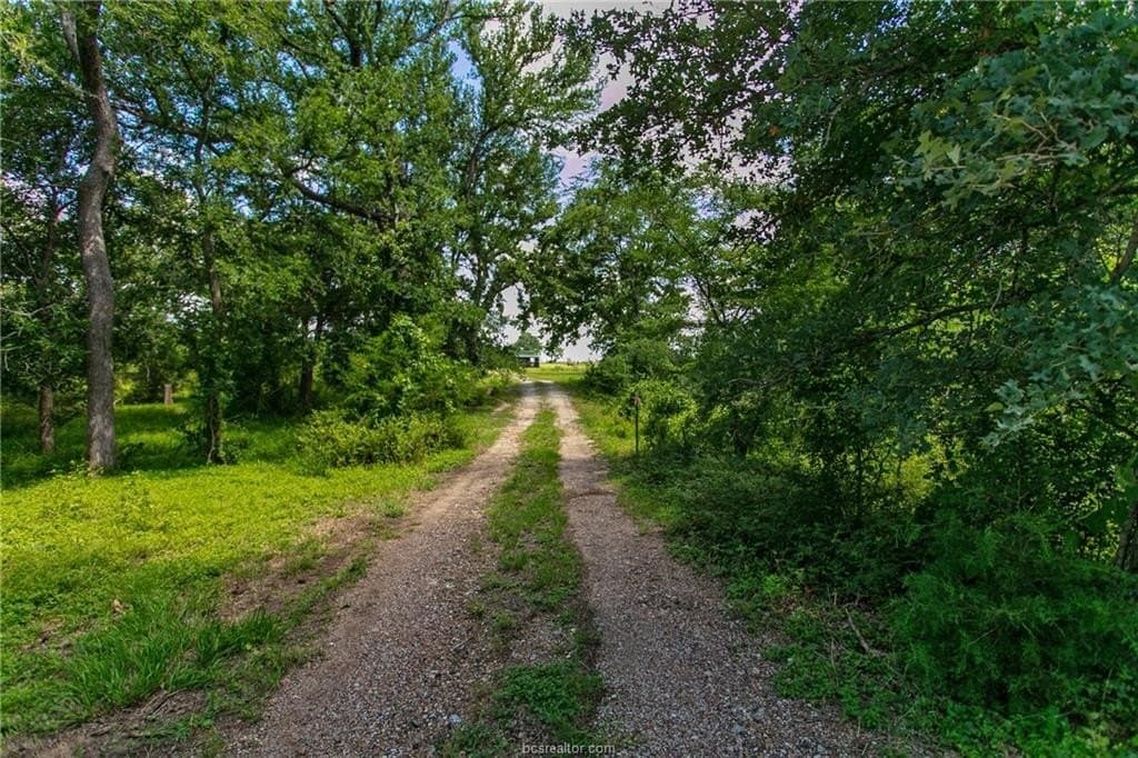 23.5 acres in Burleson County - photo 13