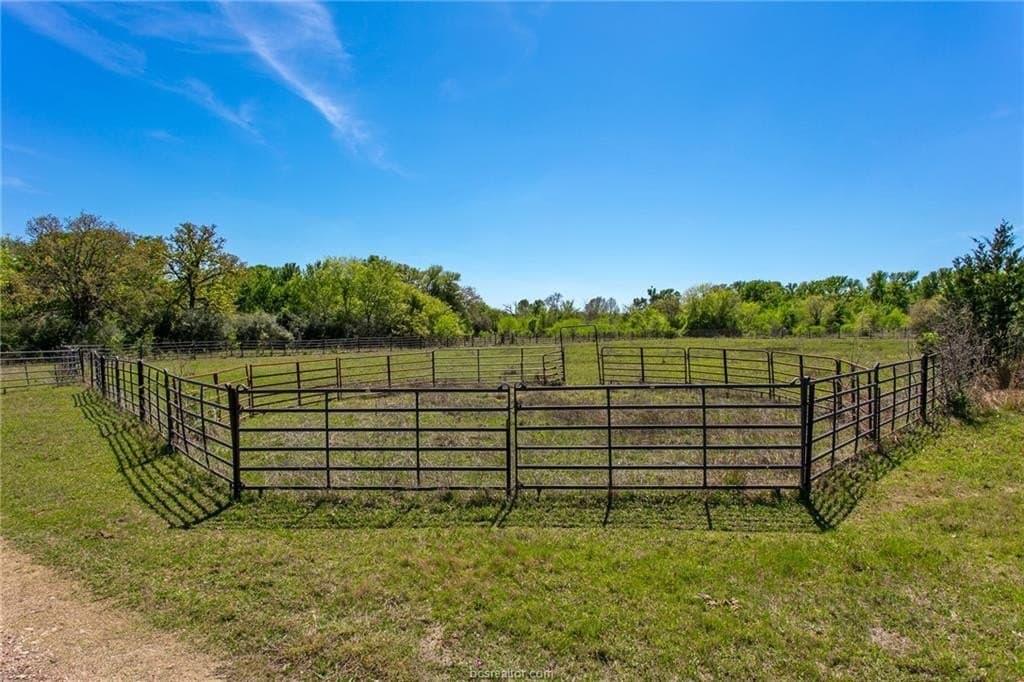 23.5 acres in Burleson County - photo 16