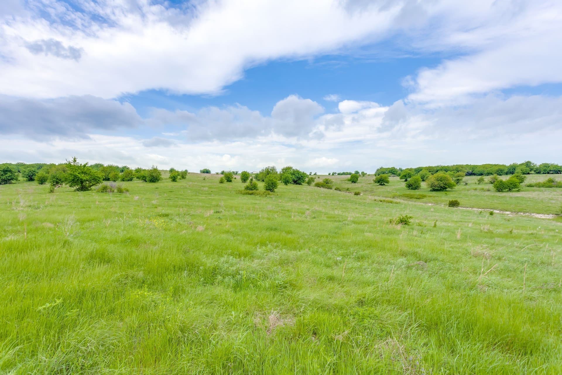 326 acres in Parker County - photo 10