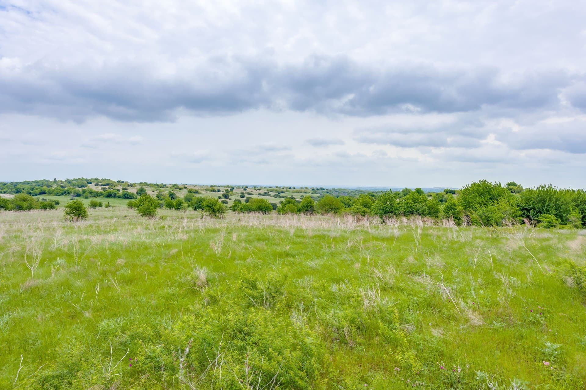 326 acres in Parker County - photo 8