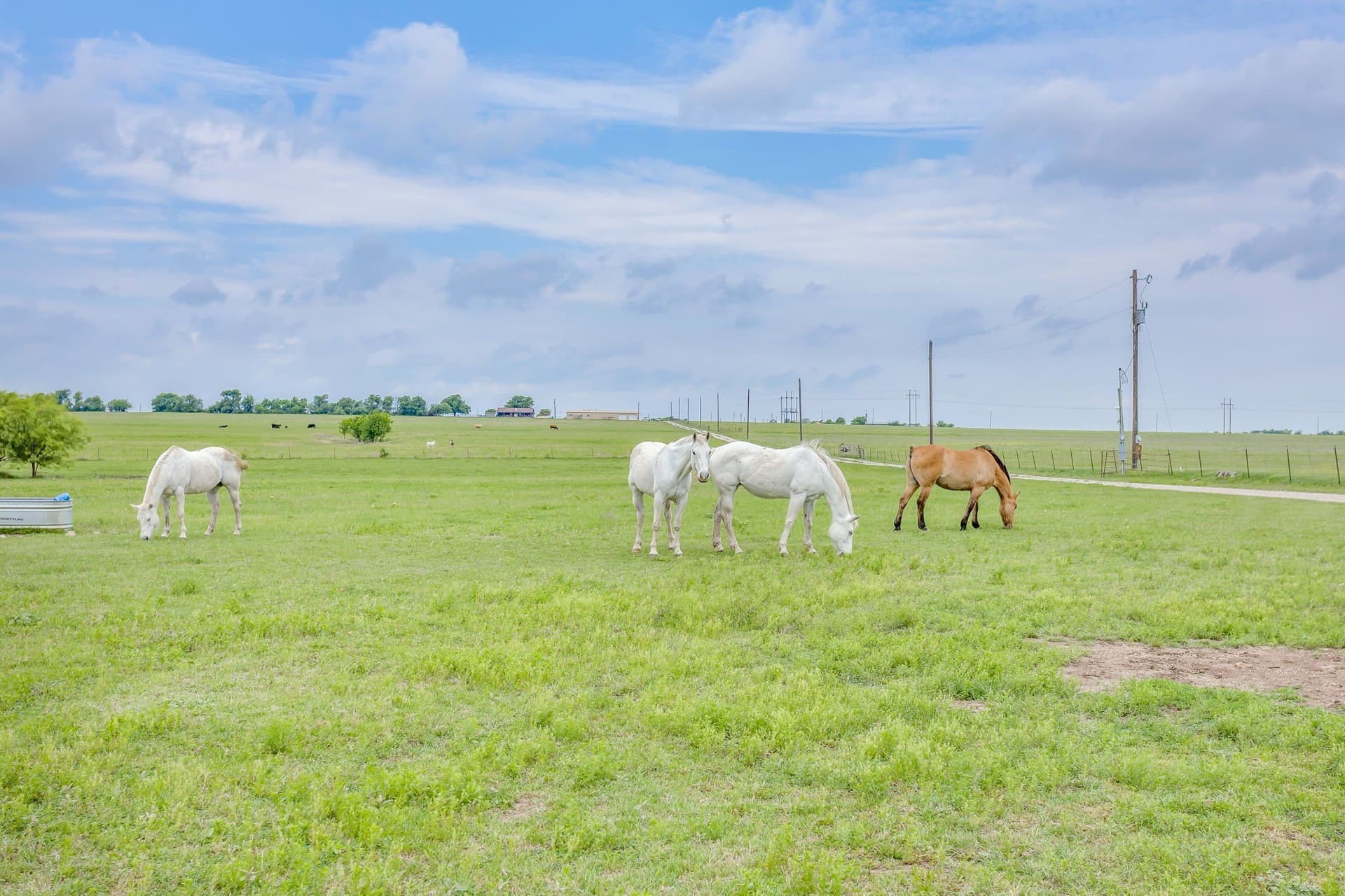 326 acres in Parker County - photo 6