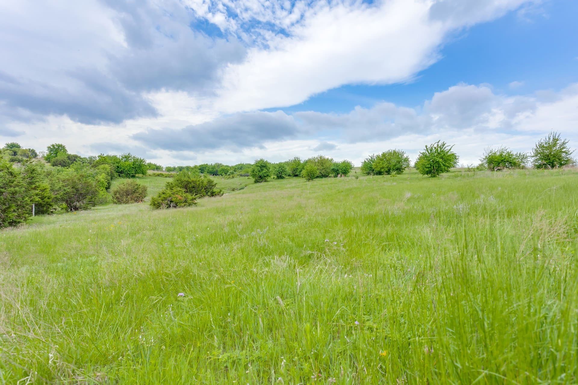 326 acres in Parker County - photo 36