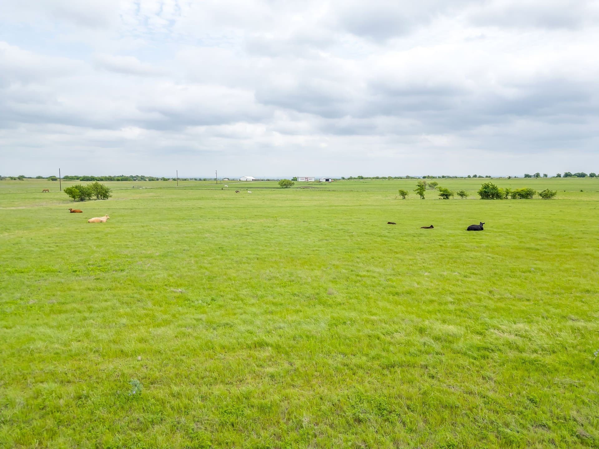326 acres in Parker County - photo 27