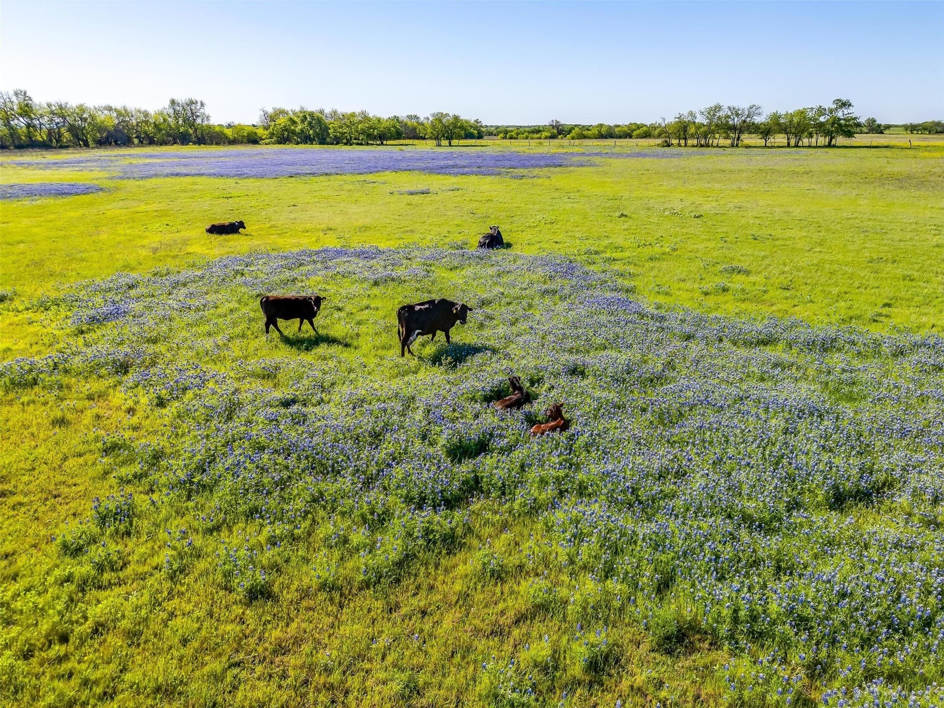 326 acres in Parker County - photo 34