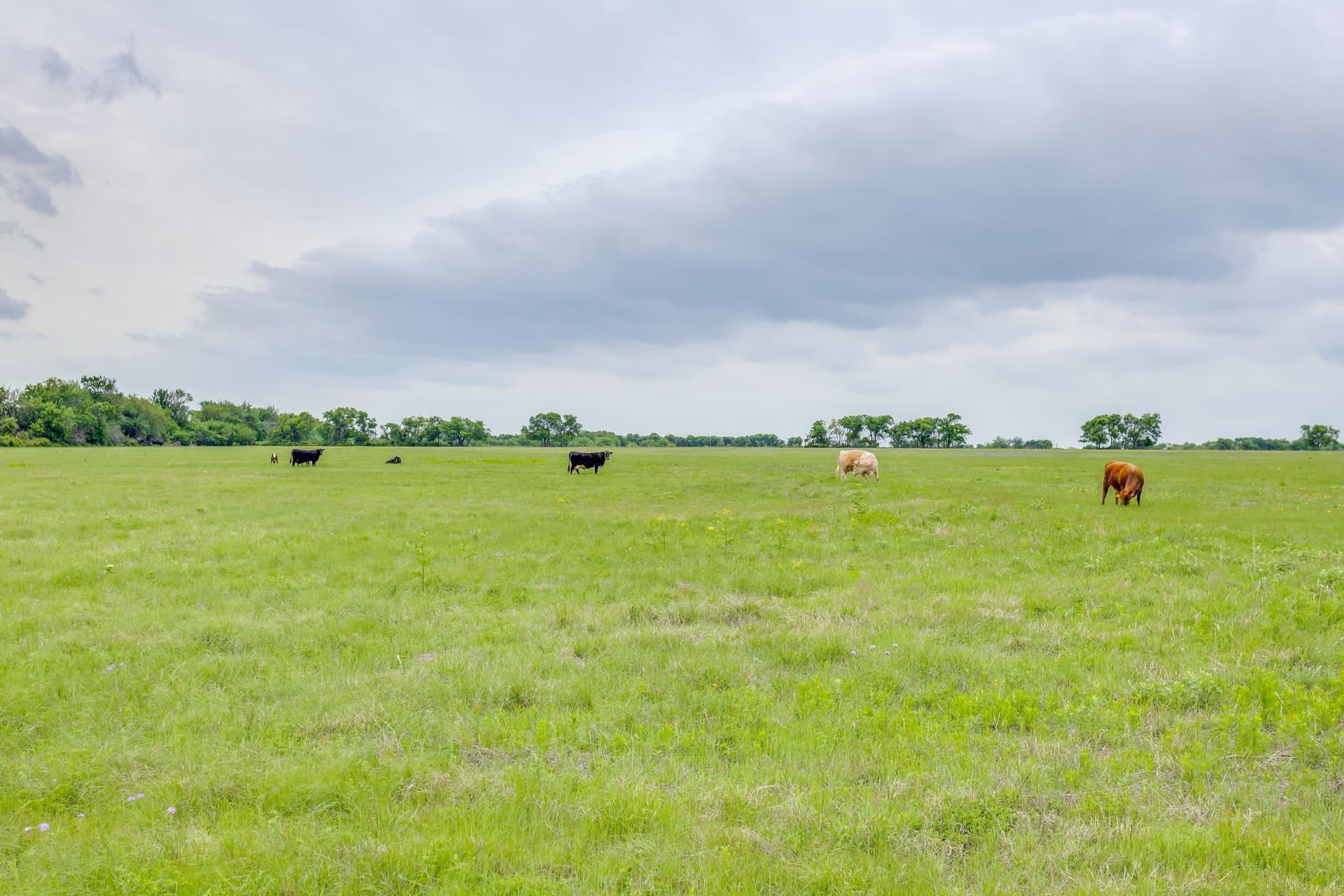 326 acres in Parker County - photo 38