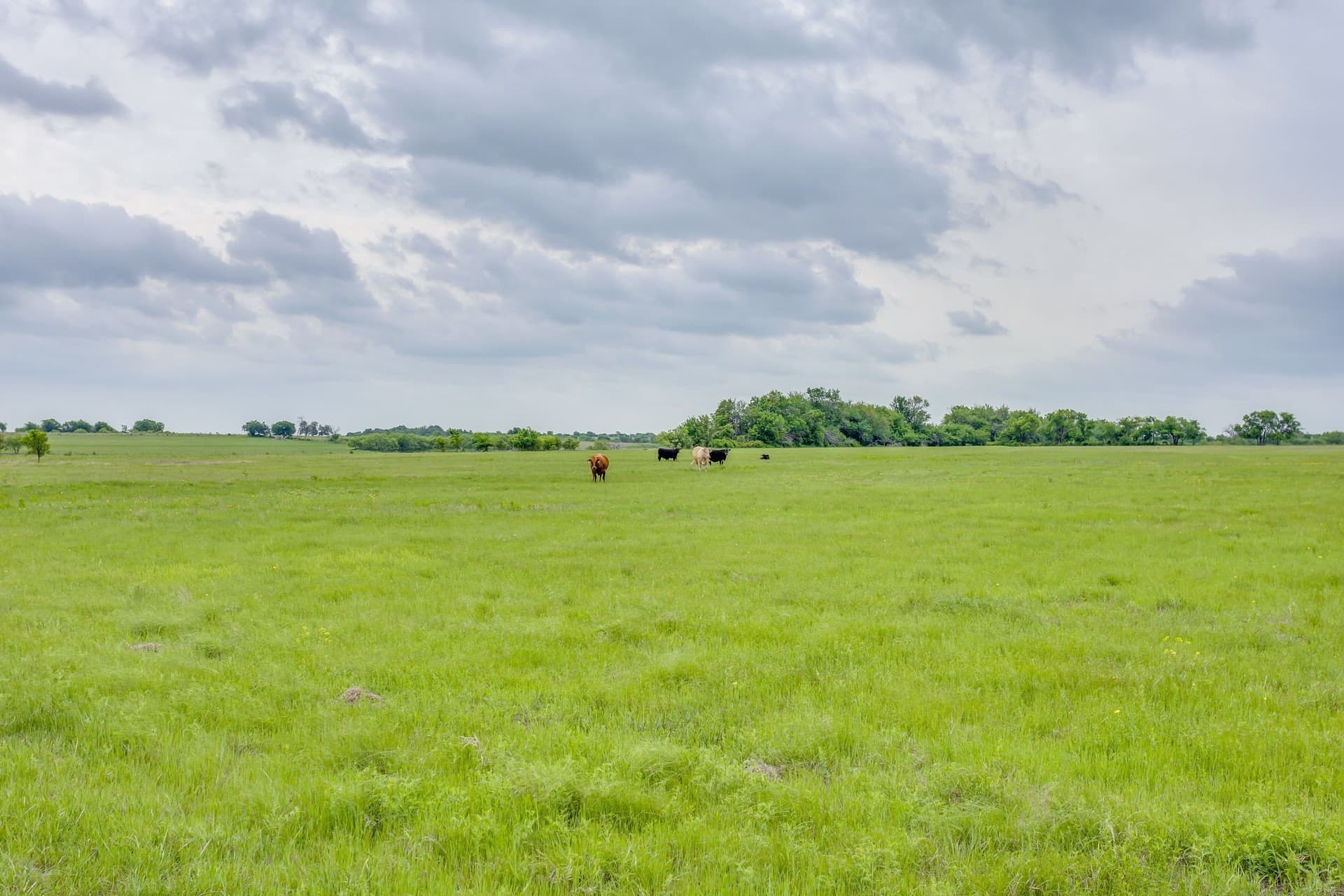 326 acres in Parker County - photo 7