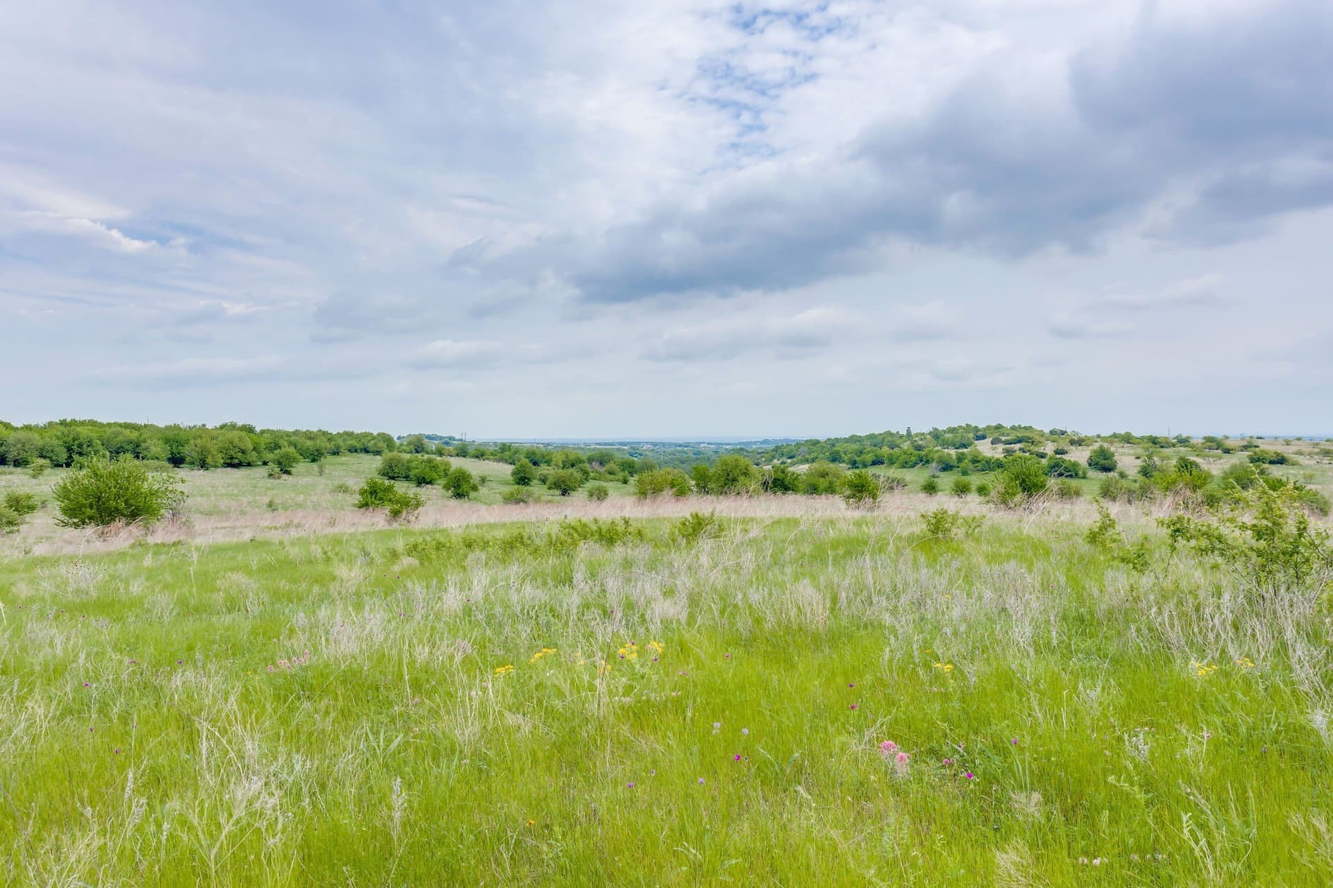 326 acres in Parker County gallery image 3