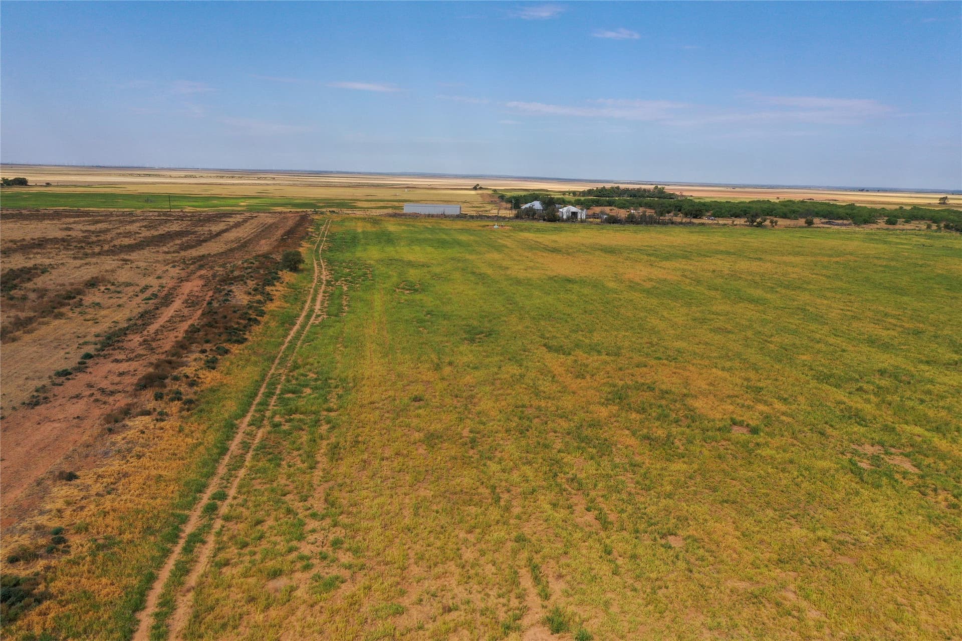38.5 acres in Foard County - photo 6