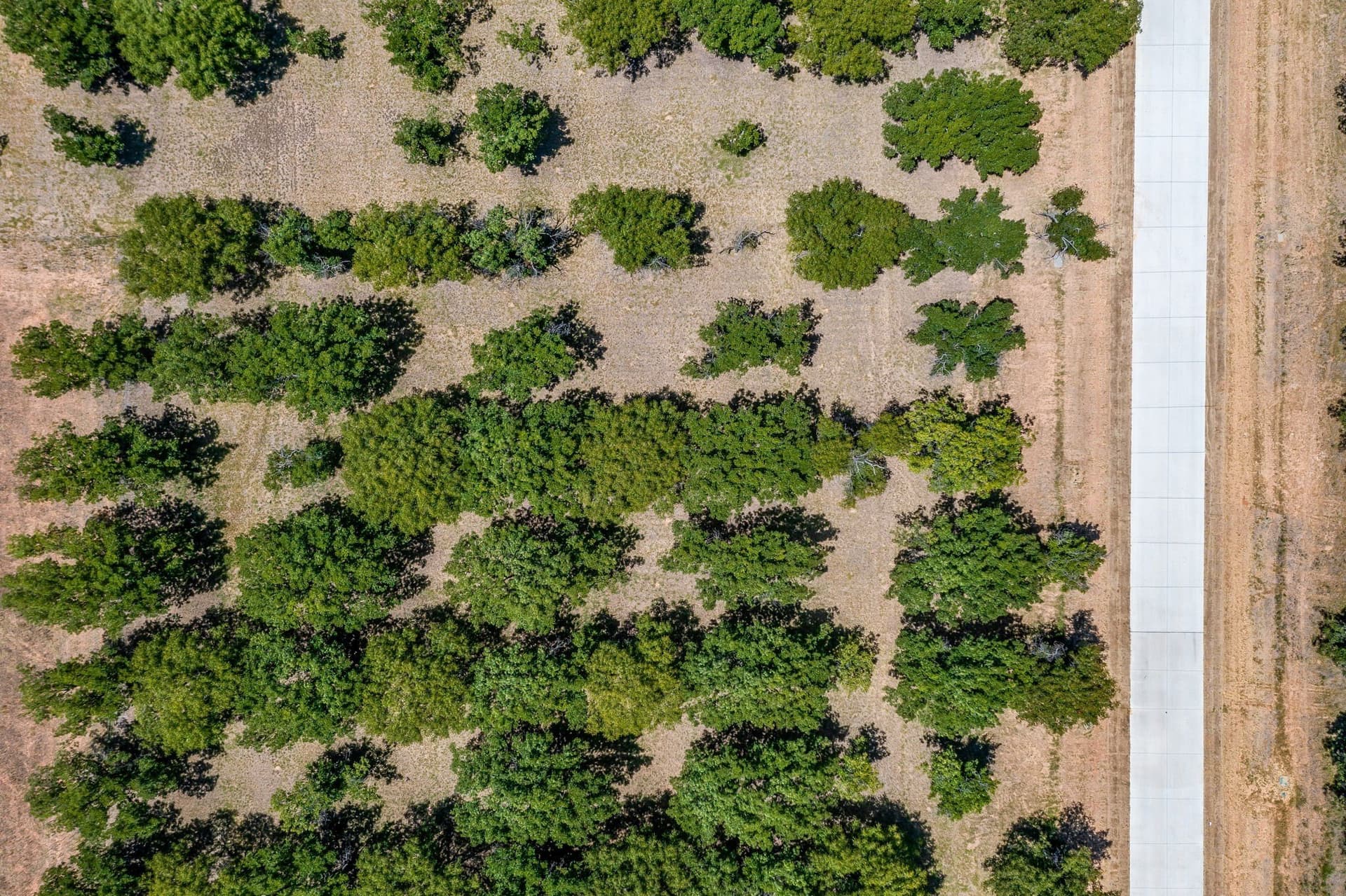 1.18 acres in Hood County - photo 13